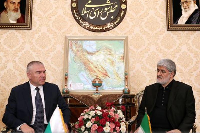صوفیه توسعه و ارتقای مناسبات با ایران را دنبال می كند