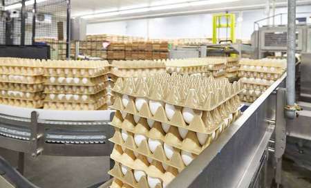 تولیدكنندگان خراسانی تخم مرغ خواستار صادرات این محصول شدند
