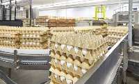 تولیدكنندگان خراسانی تخم مرغ خواستار صادرات این محصول شدند