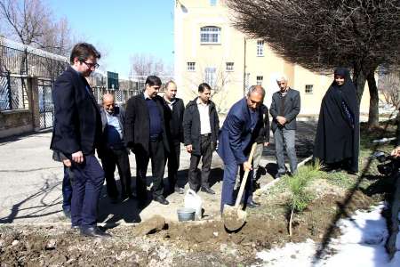 ایرنا آخرین نهال هفته درختكاری همدان را در دل خود جای داد