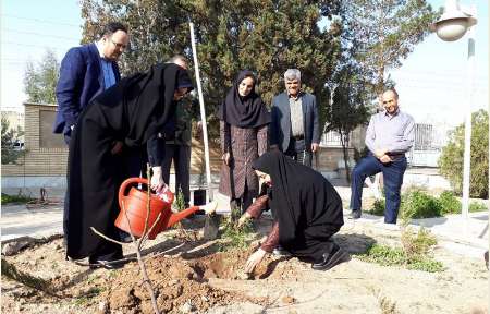 خبرنگاران ايرنا سمنان به پويش درختكاري پيوستند