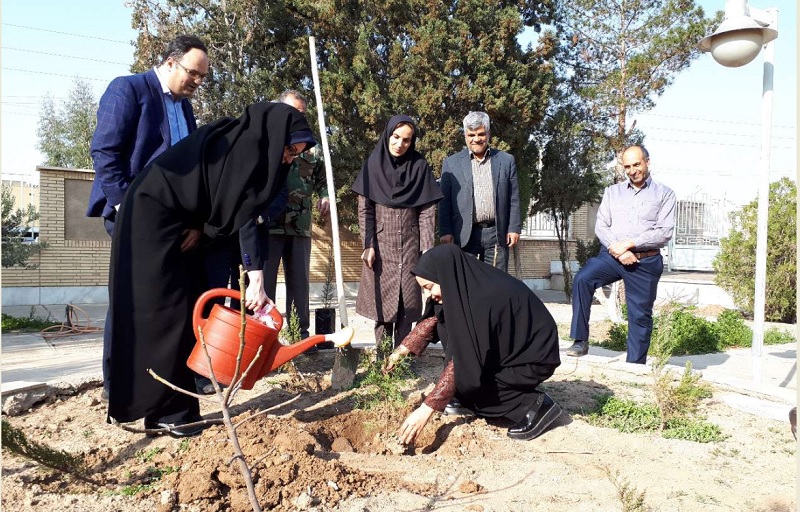 خبرنگاران ايرنا سمنان به پويش درختكاري پيوستند