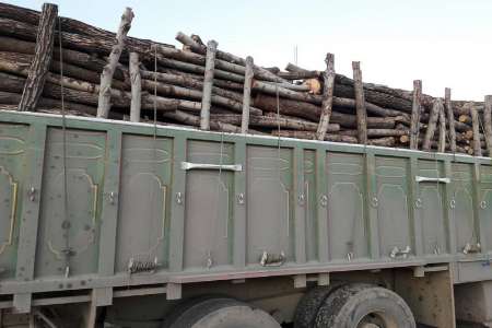 9.5 تن چوب قاچاق در بوكان كشف شد