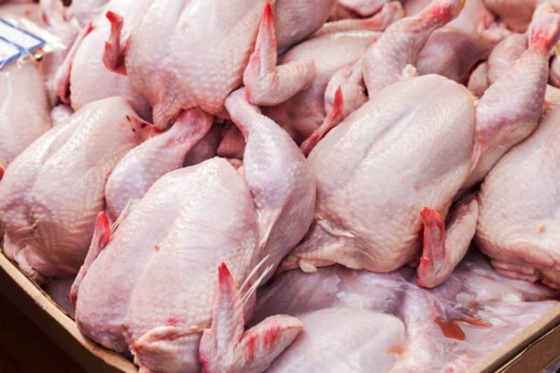 ۲۰۴۰۰تومان قیمت هرکیلوگرم گوشت مرغ
