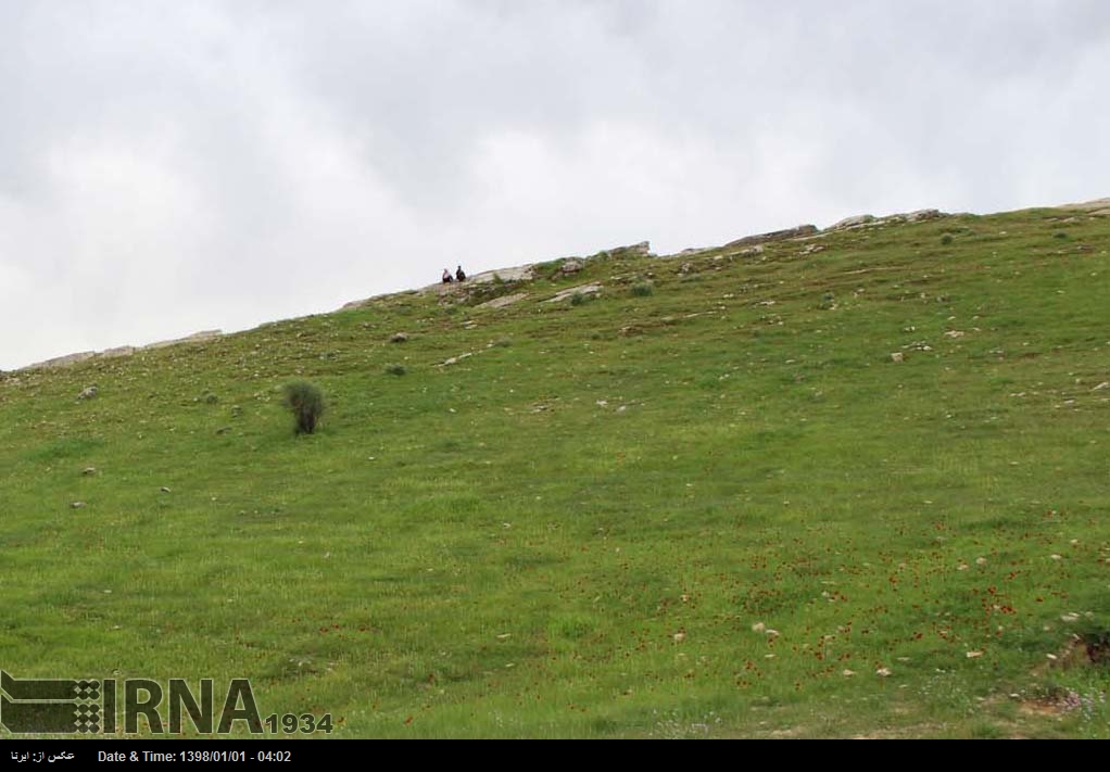 دوستداران طبیعت در پردیس، پویش کاشت بذر برگزار کردند