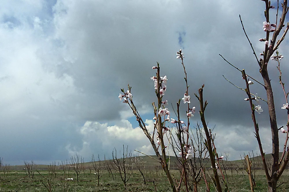 مردم استان اردبیل نخستین روز بهار را با باران آغاز كردند