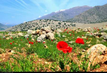 بخش چلو  انديكا نگين گردشگري خوزستان