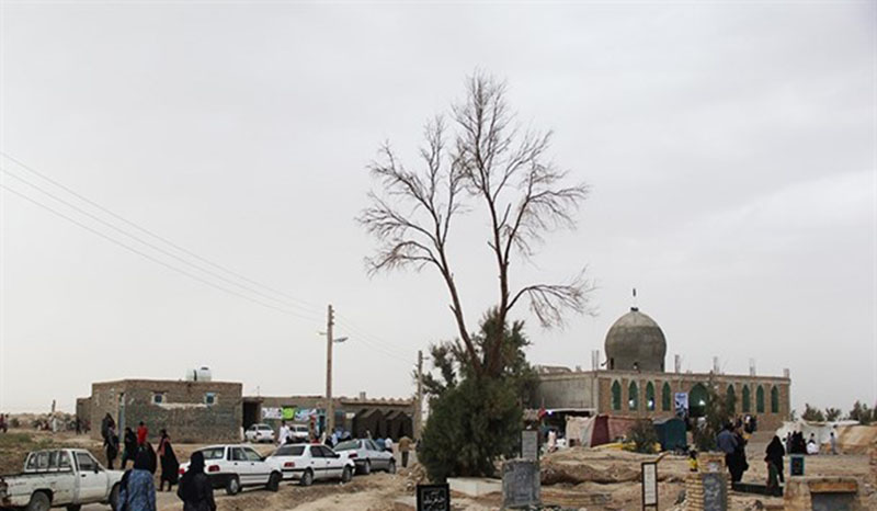 100هزار نفر از طرح آرامش بهاري سيستان وبلوچستان بهره مند شدند 100هزار نفر از طرح آرامش بهاري سيستان وبلوچستان بهره مند شدند