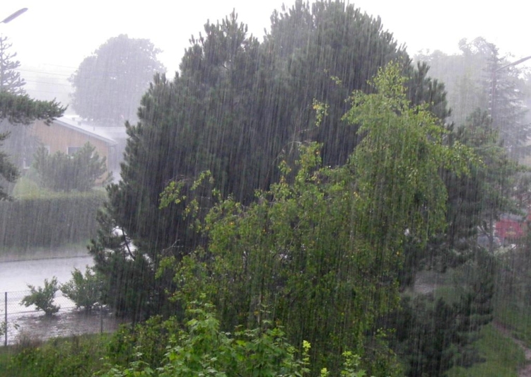 باران اثرات خشكسالی در كشور را كاهش داد