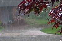 میزان بارش ها در استان مركزی 68 درصد افزایش یافت