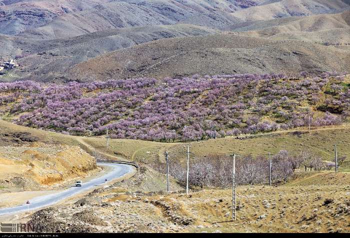 ۶ کیلومتر از محور هوره سامان به تیران اصفهان آماده بهره‌برداری شد
