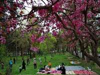 گردشگري در روز انس با طبيعت