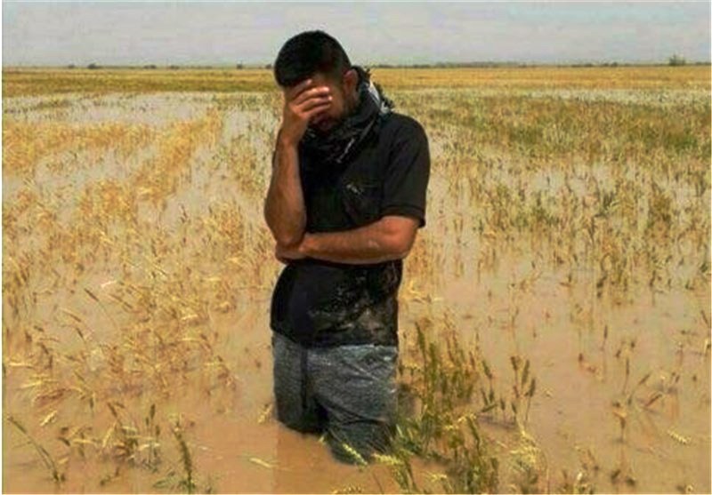 سیلاب سه هزار و 680 میلیارد ریال به كشاورزی همدان خسارت زد سیلاب سه هزار و 680 میلیارد ریال به كشاورزی همدان خسارت زد