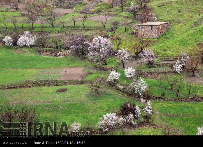 Frühling in Provinz Kurdistan Frühling in Provinz Kurdistan