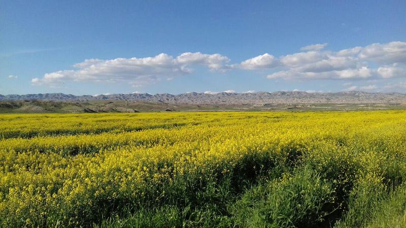 همگام با بهار در راز و جرگلان