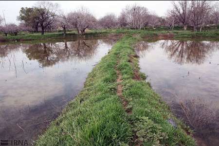 باغستان هایی كه به داد قزوین رسیدند باغستان هایی كه به داد قزوین رسیدند