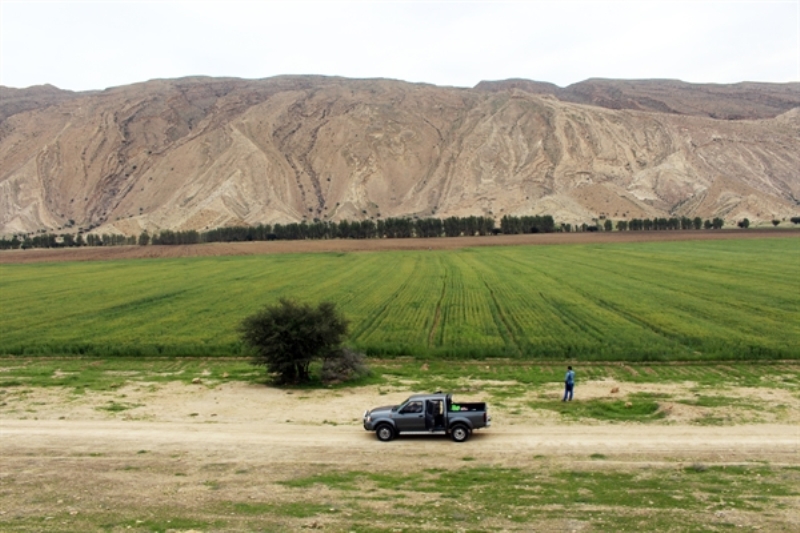 220 اثر تاریخی جدید لارستان شناسایی شد 220 اثر تاریخی جدید لارستان شناسایی شد