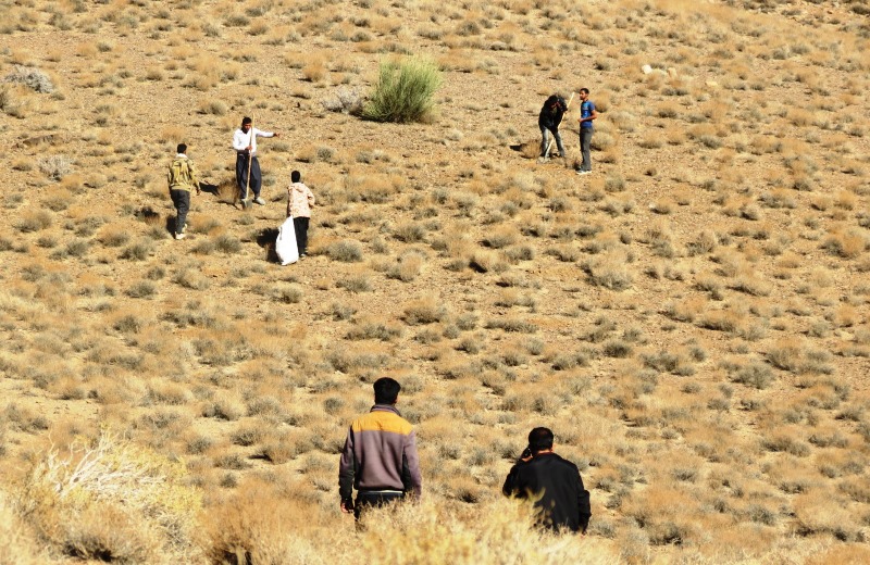 178 هميار طبيعت در مهريز فعاليت دارند 178 هميار طبيعت در مهريز فعاليت دارند