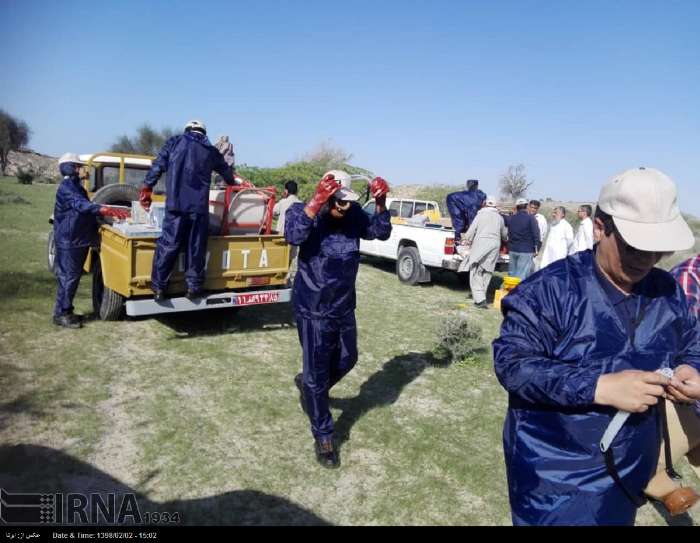 نبرد با ملخ های مهاجم در کنارک؛ از دیده بانی هوشمند تا نجات امنیت غذایی در سواحل مکران