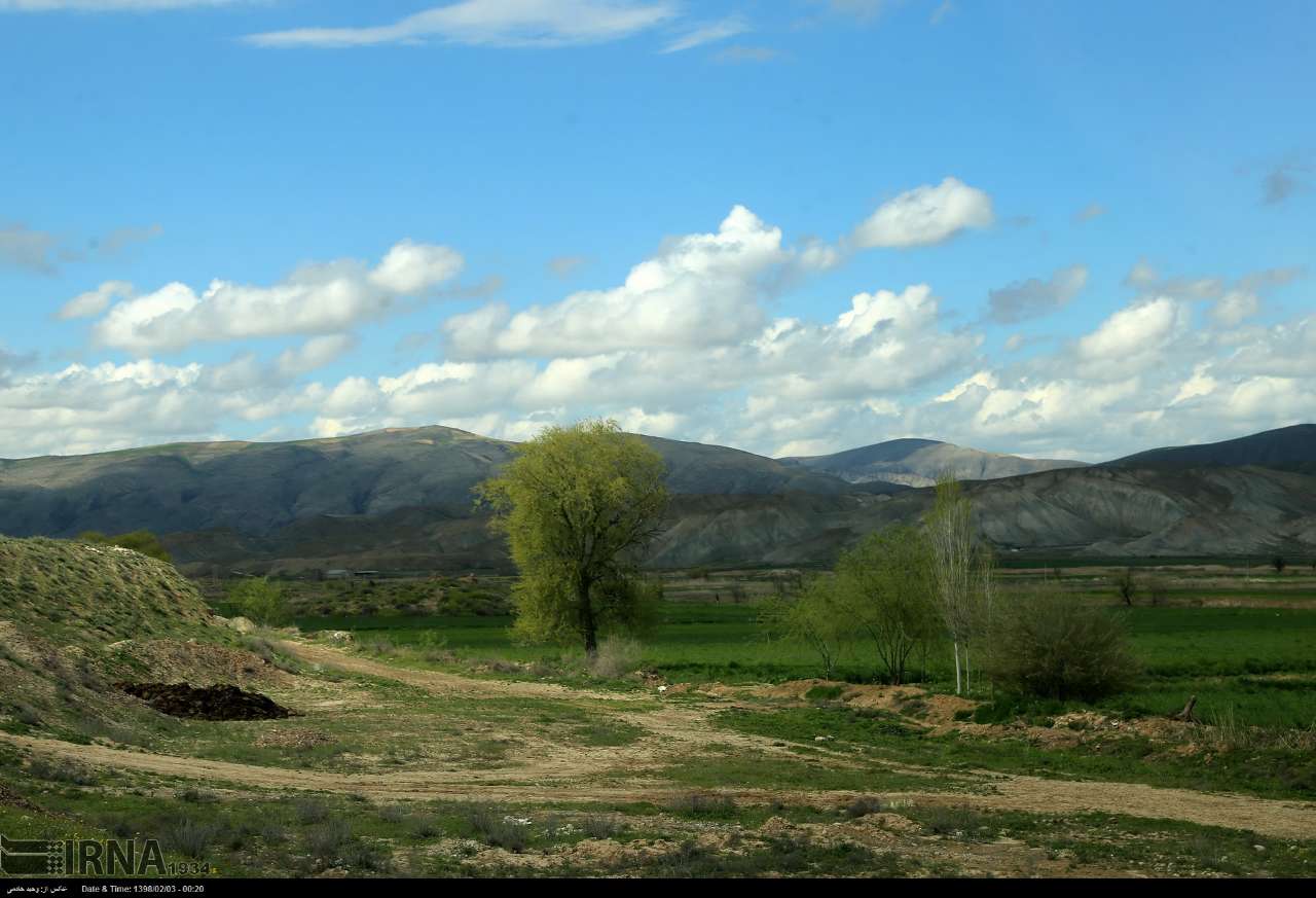 ۸۴ میلیارد ریال برای افزایش ضریب حفاظتی جنگلهای خراسان شمالی اختصاص یافت