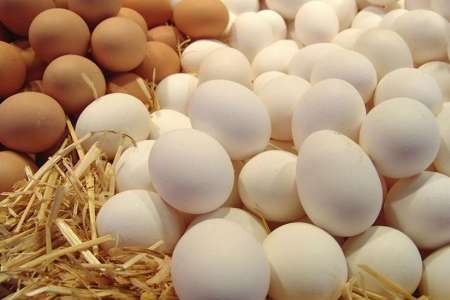آزادسازي صادرات تخم مرغ، منجر به كاهش زيان توليدكنندگان مي شود