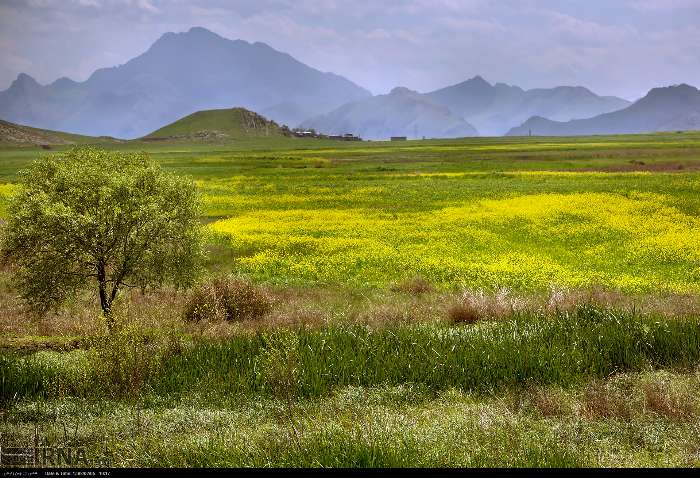 تالاب هشیلان کرمانشاه به لحاظ قابلیت‌های زیستی و منظر زیست بومی اهمیت ویژه‌ای دارد