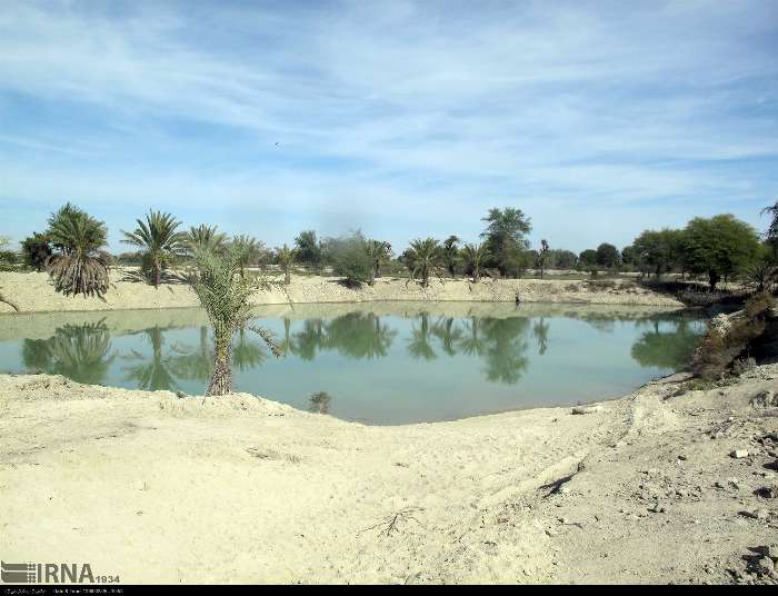 گرمای ۵۰درجه‌ای درباهوکلات دشتیاری؛ سوختگی برگ‌های موز وافزایش خطر گرمازدگی در سواحل مکران