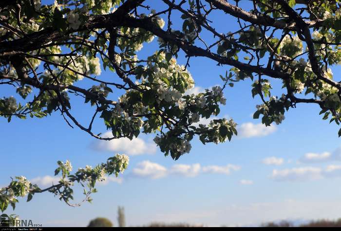 دمای هوای خراسان‌رضوی ۶ درجه افزایش می‌یابد