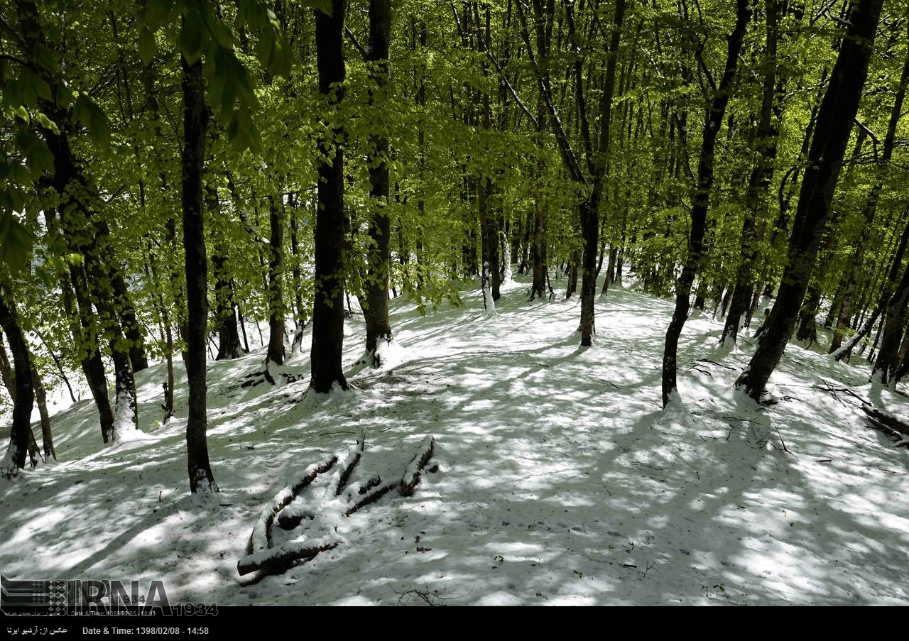 Schnee im Frühling Schnee im Frühling