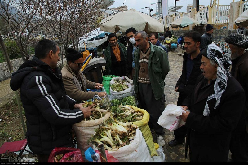 بهار گیاه خواری با عطر طبیعت