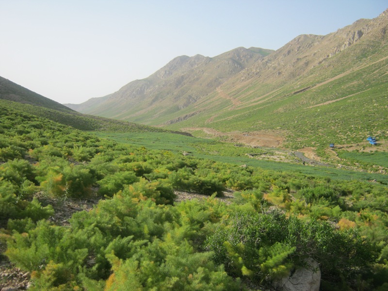 مهمانی بر سفره طبیعت