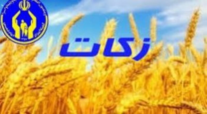 603 مبلغ و عامل افتخاری زكات با كمیته امداد یزد همكاری دارند