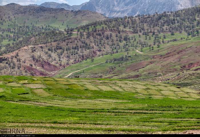 دیگ آشی که برای طبیعت بار گذاشته می‌شود