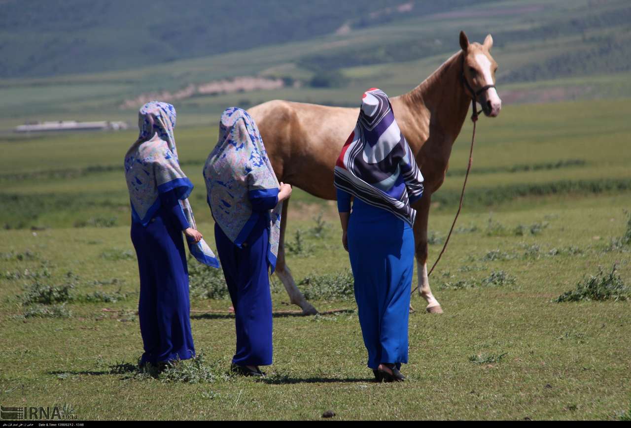 شکوه اسب ترکمن در صوفیان کلاله؛ جشنواره نوزدهم به روایت زیبایی