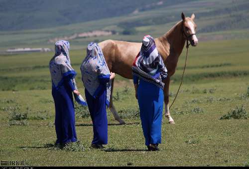 شکوه اسب ترکمن در صوفیان کلاله؛ جشنواره نوزدهم به روایت زیبایی