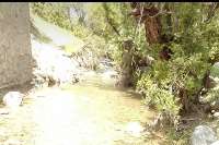 سواحل رود رونه بهشت رويايي طبيعت جنوب ايران