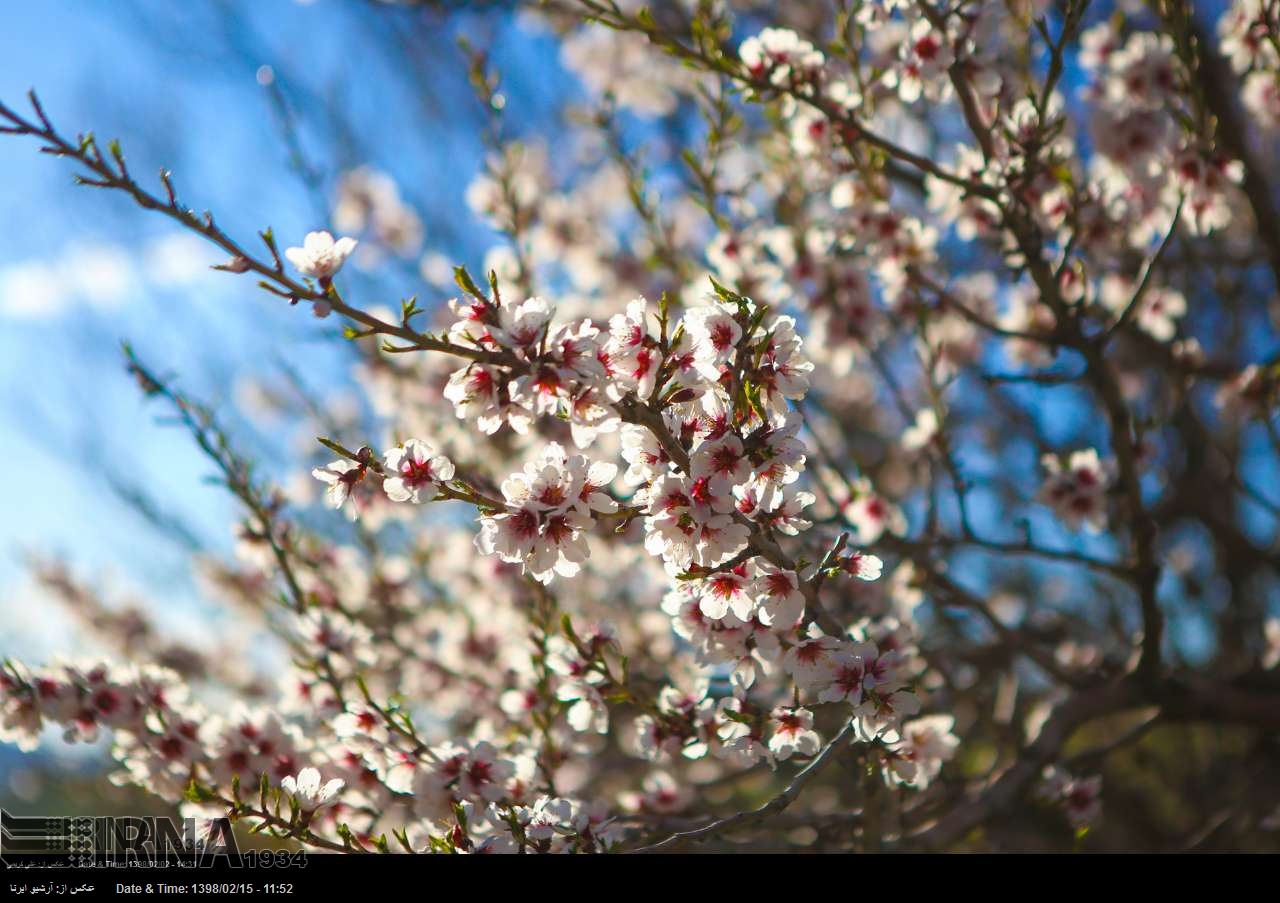 Frühling: Die Natur erwacht Frühling: Die Natur erwacht