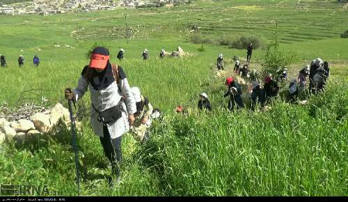 دستور ویژه برای ورزش مادران شمال پایتخت