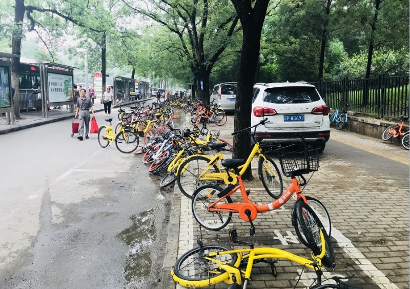 چین پیشگام در فرهنگ دوچرخه سواری