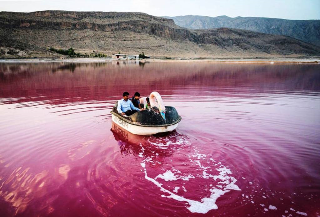 قرمزی آب دریاچه مهارلوی شیراز ناشی از جلبك بی خطر است