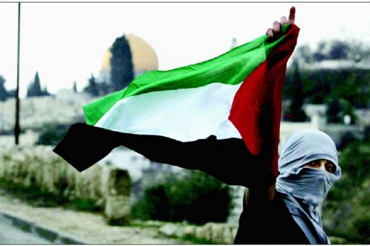 Palestine Embassy says Gaza civilians killed in Israeli aggression Palestine Embassy says Gaza civilians killed in Israeli aggression