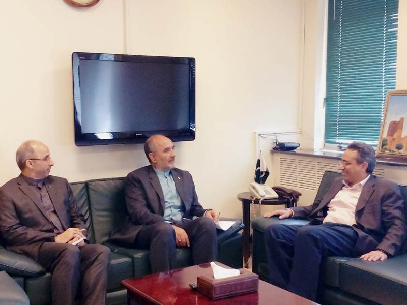 Iran, Pakistan discuss cooperation in oil, gas sectors Iran, Pakistan discuss cooperation in oil, gas sectors