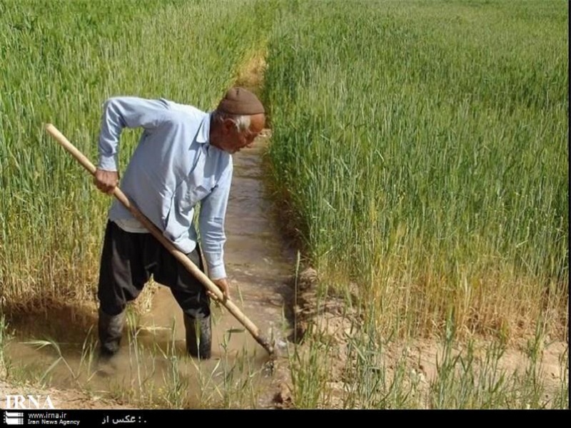 بارش باران بهاري و موج شادي در ميان كشاورزان سبزواري