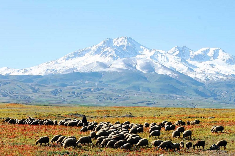 Patrimoine mondial de l'Unesco: le mont Sabalan tente sa chance