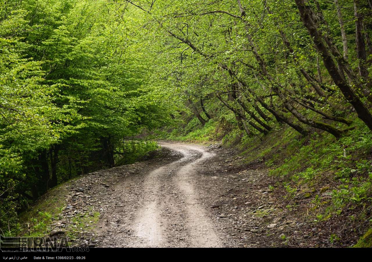 Spring in northern Iranian province of Gilan - IRNA English