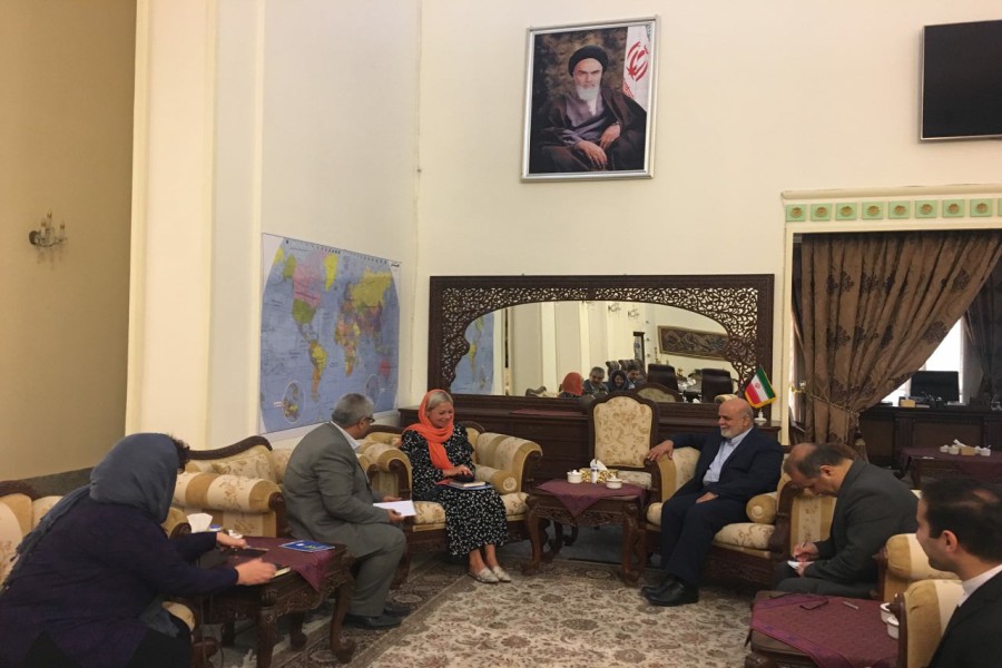 Iran ambassador, UN envoy discuss Iraq, regional security Iran ambassador, UN envoy discuss Iraq, regional security