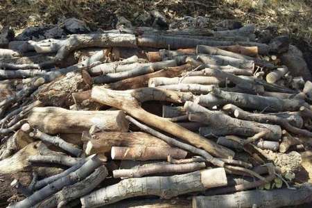 74 تن چوب قاچاق در سروآباد و قروه كشف و ضبط شد