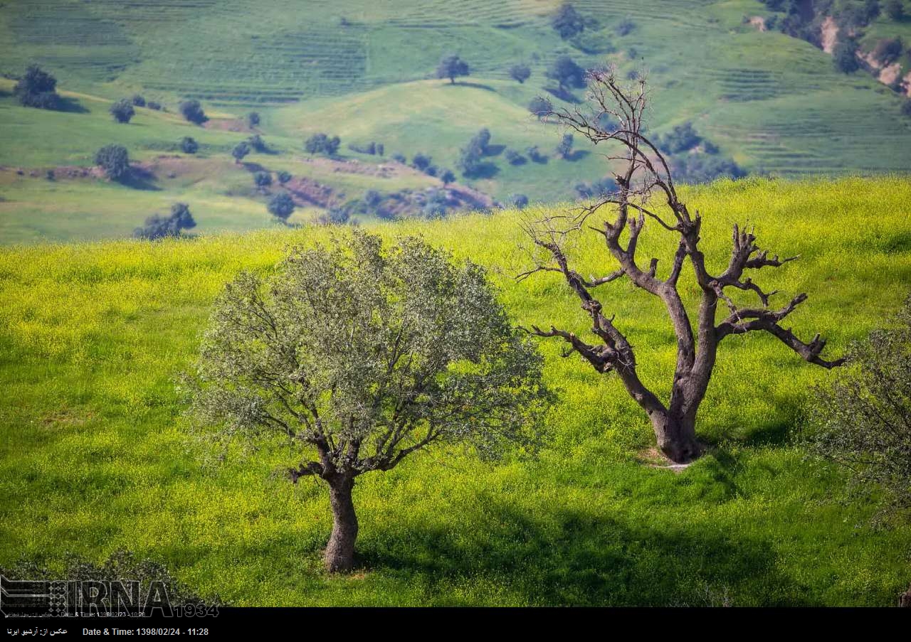 Untouched nature of southwest Iran