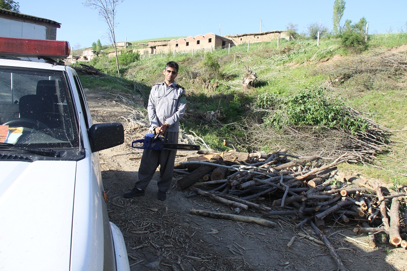 2 متخلف قطع درختان روستای «سلم» در مهاباد دستگیر شدند