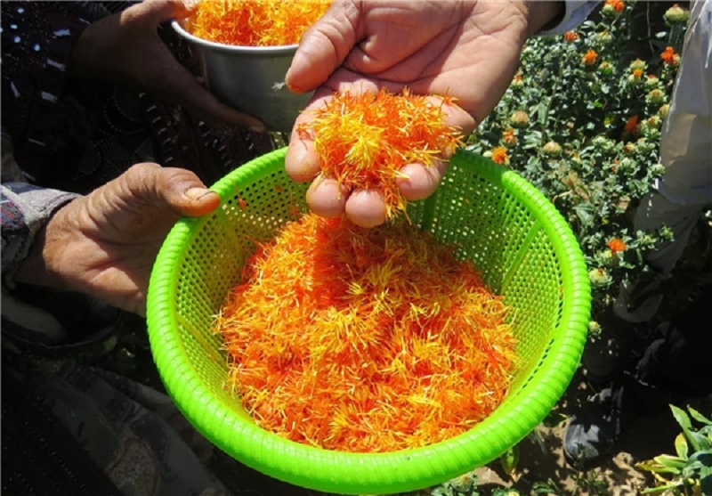 شهرستان كارون ظرفيت بالايي در كشت انواع محصولات كشاورزي دارد شهرستان كارون ظرفيت بالايي در كشت انواع محصولات كشاورزي دارد
